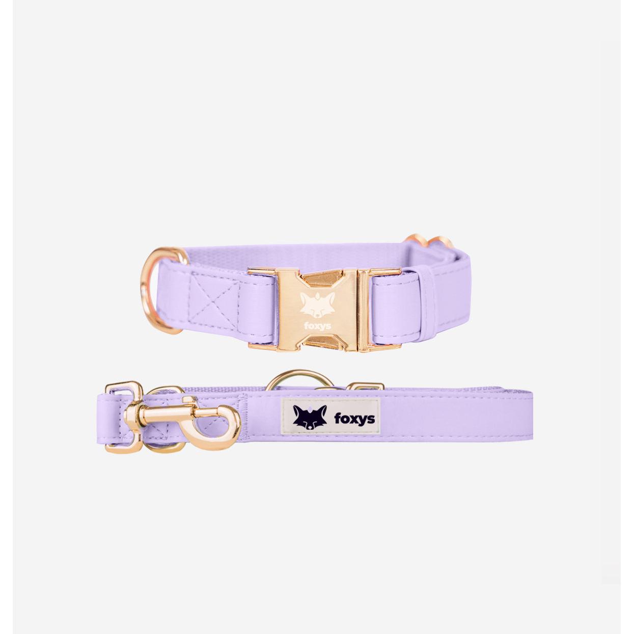 CityFox™ Kit Collar y Correa 2,5m Lila para Perro - Ajustable con Sistema Click y 3 Opciones de Longitud (Larga/Corta/Manos Libres), Ideal para Paseos Diarios Cómodos y Seguros