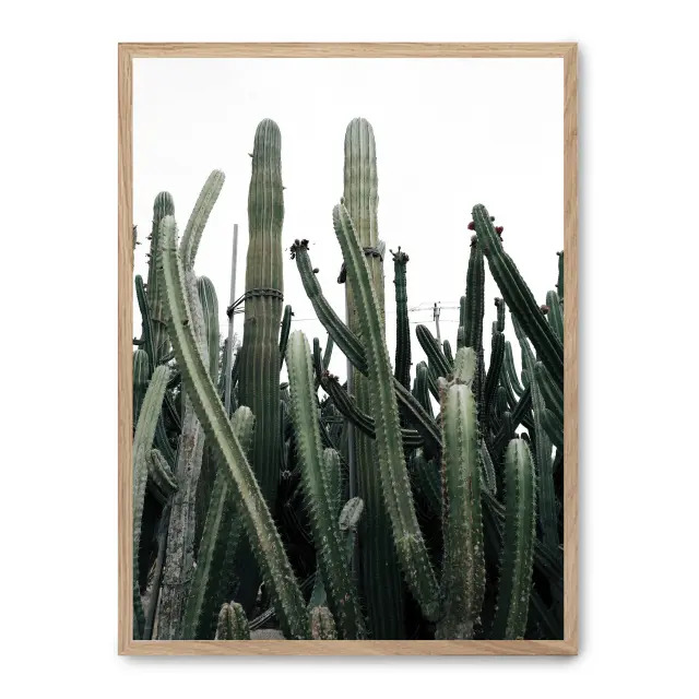 Cuadro cactus iii 30x40cm, Póster impreso en papel de primera calidad de 180gr, montado sobre marco de madera MDF acabado roble., Botánica - Naturaleza - Playantas