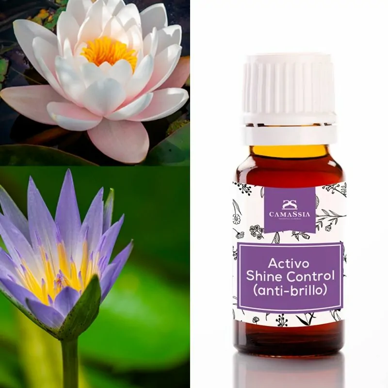 Camassia Activo Shine Control Anti-brillo | Equilibrio Piel Grasa | 100% Natural COSMOS