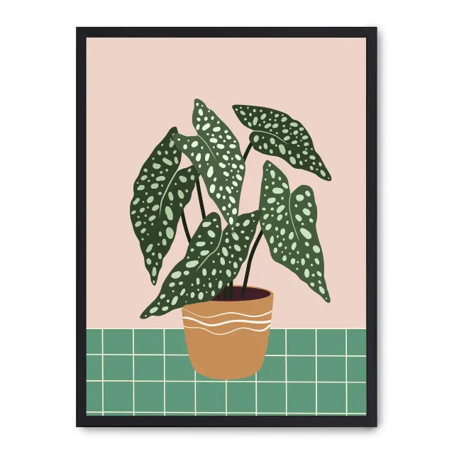 Lámina con marco negro PLANT PLOT IV 21x30 cm, Póster impreso en papel de primera calidad de 180gr, montado sobre marco de madera MDF acabado en negro., Arte - Pinturas