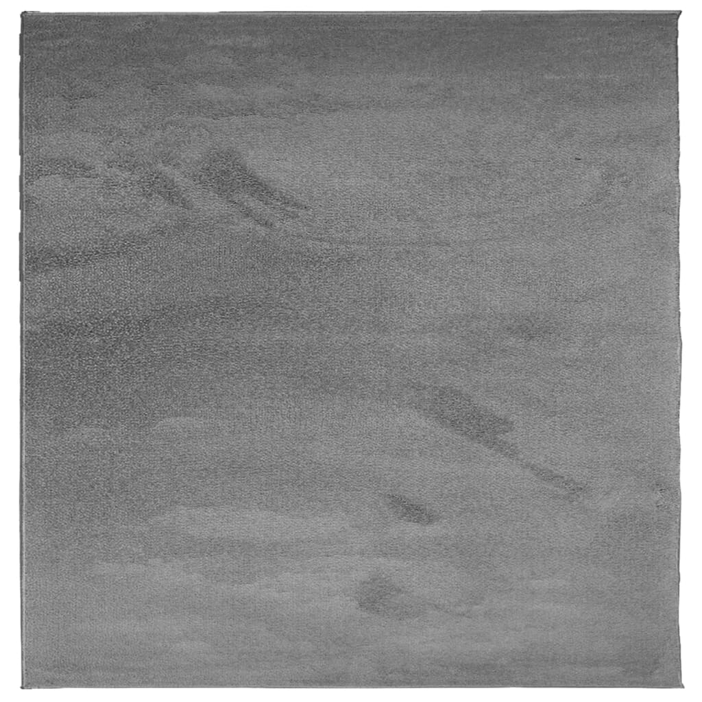 Vidaxl Alfombra de Pelo Corto OVIEDO 120x120 Cm Antracita