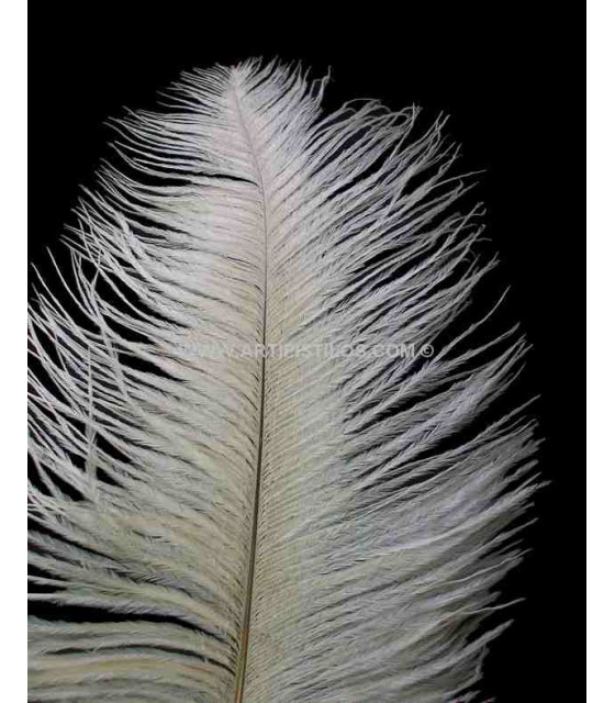 PLUMA DE AVESTRUZ 1ª CALIDAD / 50-55 cm