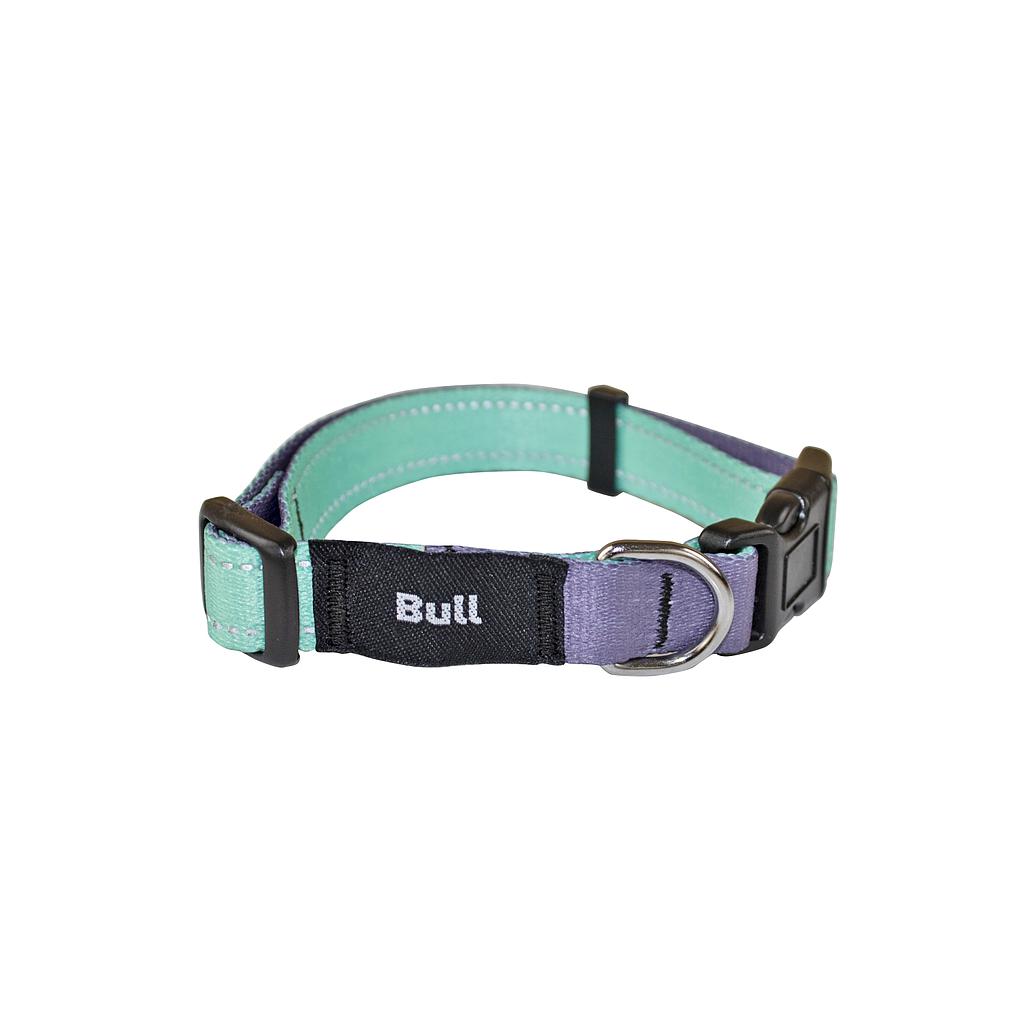 Collar de Nylon Reflectante para Perro Yagu Paseo - Alta Visibilidad Color Aqua (Talla T-3 / 33-50 cm)