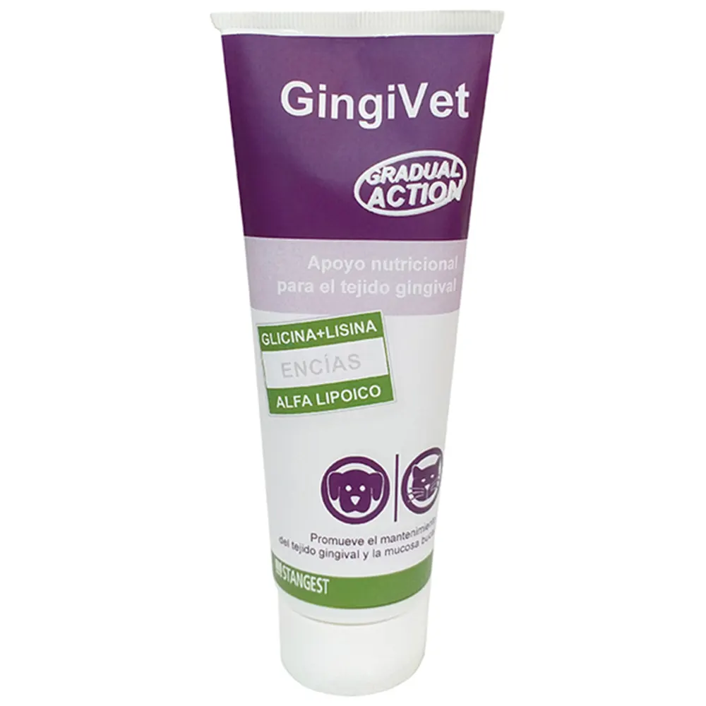GingiVet Pasta 100 g suplemento para fortalecer la estructura de las encías y la boca de perros y gatos Stangest
