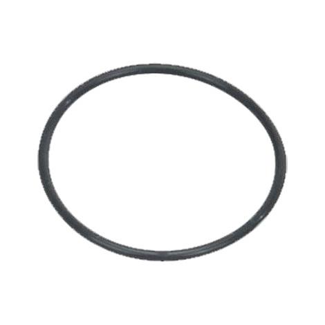 Recambio Ordenador/ Buceo: Torica Estanqueidad Leonardo EKZ 764180