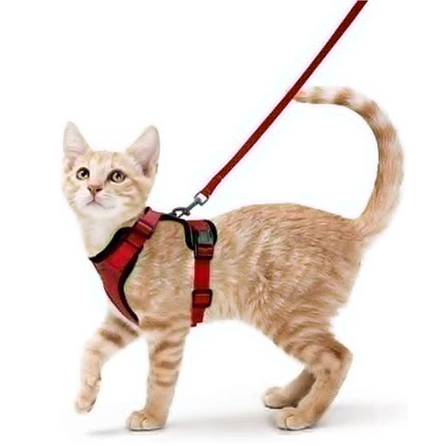TK Correa Y Arnés Para Gatos Para Pasear Resistente Al Escape Vestido Suave Ajustable Fácil Control Para El Manejo De Los Gatos