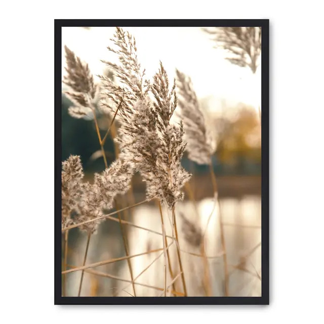 Cuadro pampas i 30x40cm, Póster impreso en papel de primera calidad de 180gr, montado sobre marco de madera MDF acabado en negro., Botánica - Naturaleza - Playantas