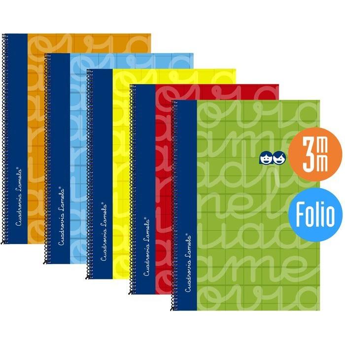 LAMELA BLOC FOLIO FORRADO CUADROVIA 3MM 80H COLORES SURTIDOS CAJA:5 unidades  CUADERNOS 31x21x1 Cms.