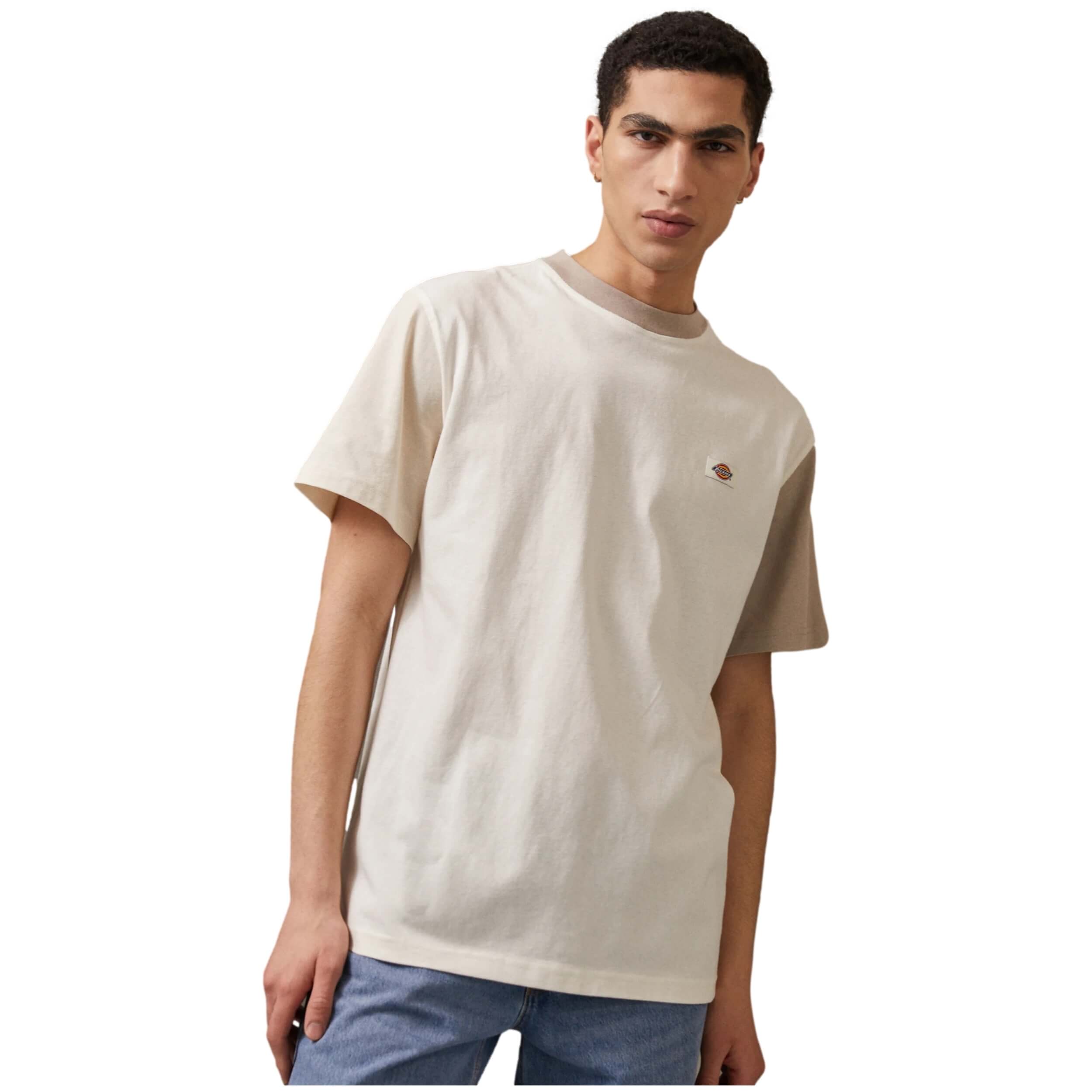 Camiseta Dickies Eddyville Cloud