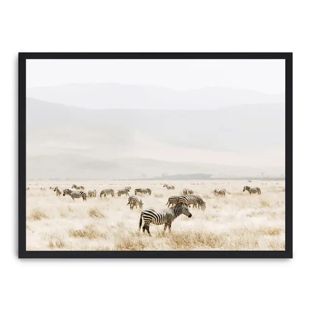 Lámina con marco negro GRAZING ZEBRAS 21x30 cm, Póster impreso en papel de primera calidad de 180gr, montado sobre marco de madera MDF acabado en negro., Naturaleza - Safari