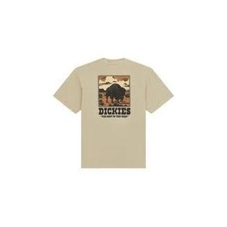Camiset. Dickies Darrtown  Verde