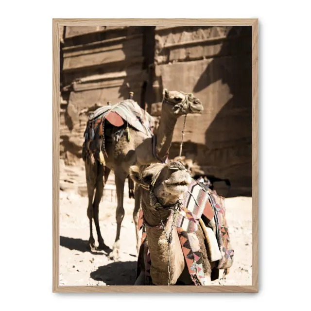 Cuadro camels in petra ii 30x40cm, Póster impreso en papel de primera calidad de 180gr, montado sobre marco de madera MDF acabado roble., Naturaleza - Desierto