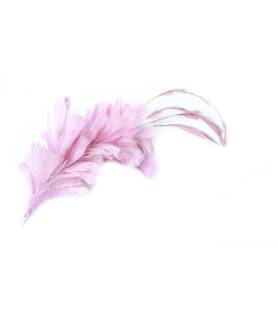 MONTAJE DE PLUMAS GALLO, ÁNADE Y OCA