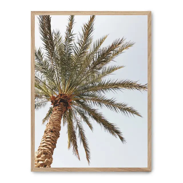 Cuadro palm beach ii 30x40cm, Póster impreso en papel de primera calidad de 180gr, montado sobre marco de madera MDF acabado roble., Botánica - Palmeras