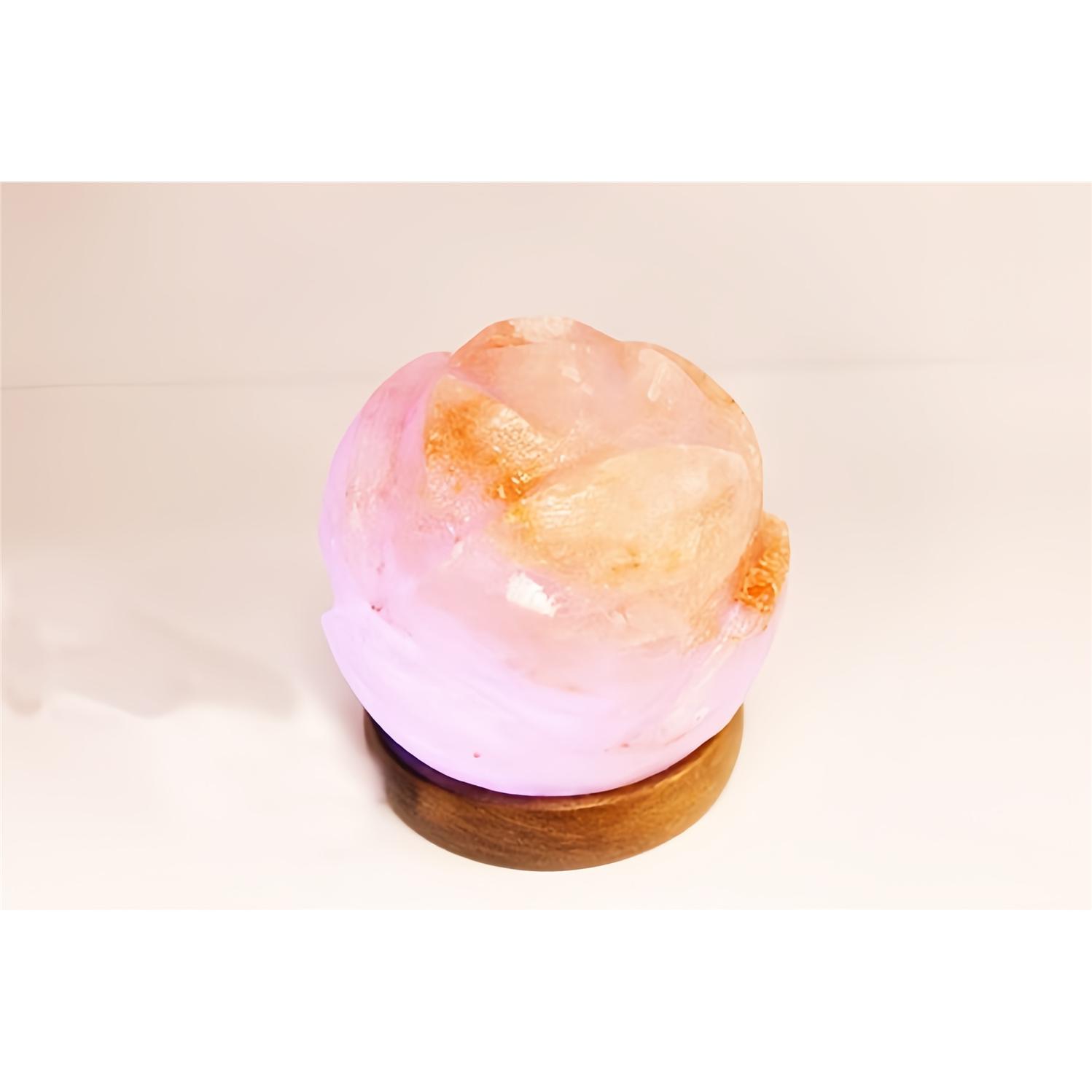 PLUSHOME Lámparas de Sal del Himalaya Naturales Alta Calidad con USB y Base de Madera