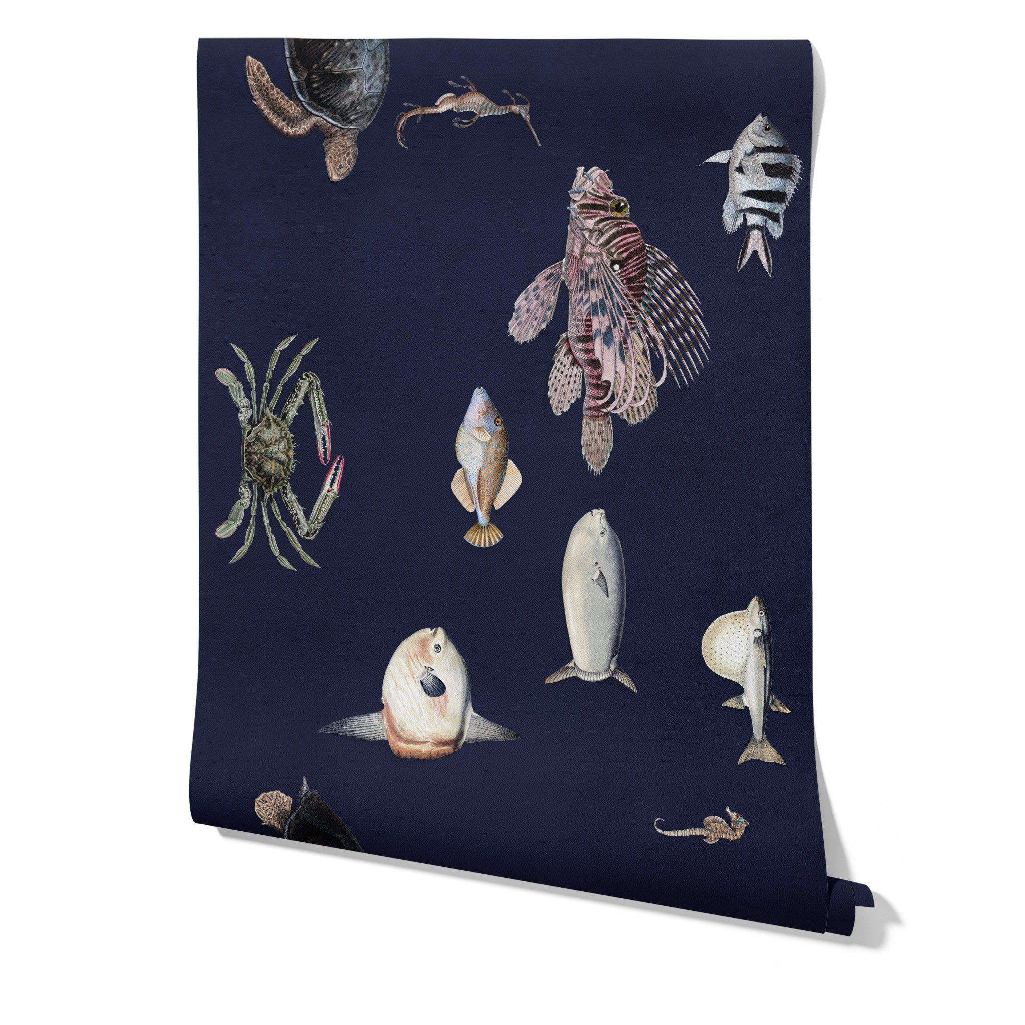 Wallpapers4Beginners Animali Carta da Parati Pesci Tropicali Blu