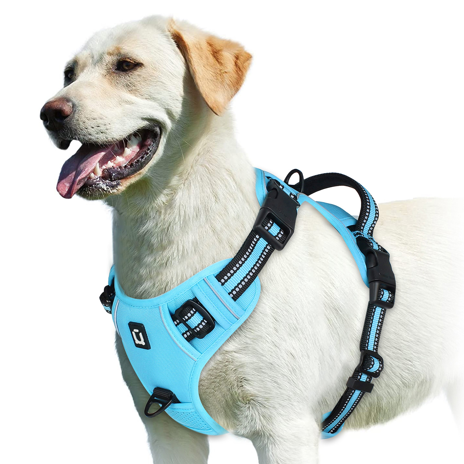 TK Alforja Para Perro Sin Pulling Con Correa De Control Fácil Y Peto Suave Ajustable Vestido De Mascota Para Adultos