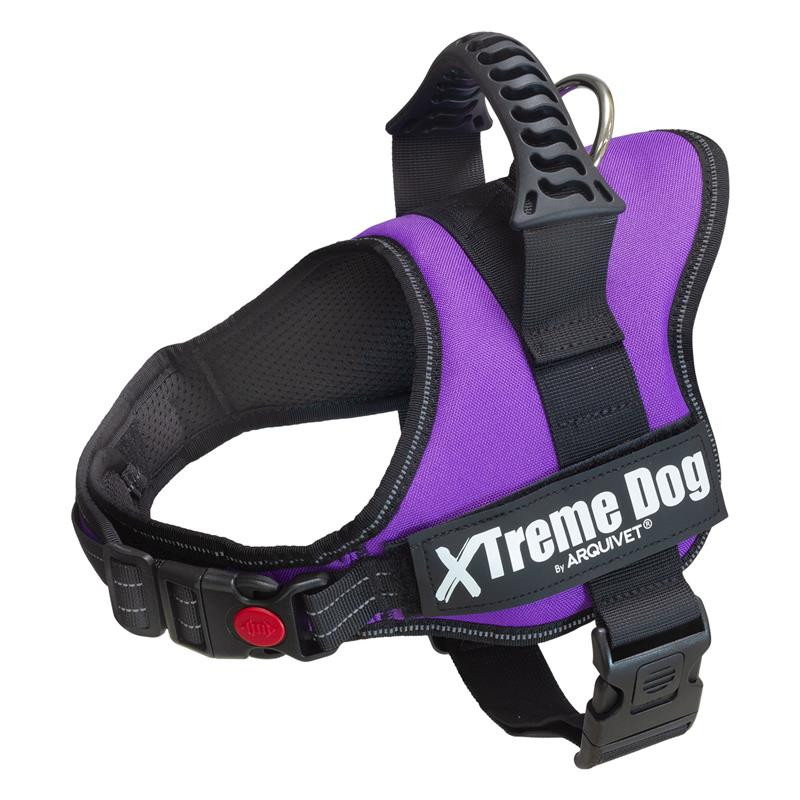 Arnés Xtreme Dog Lila para Perros  Resistente