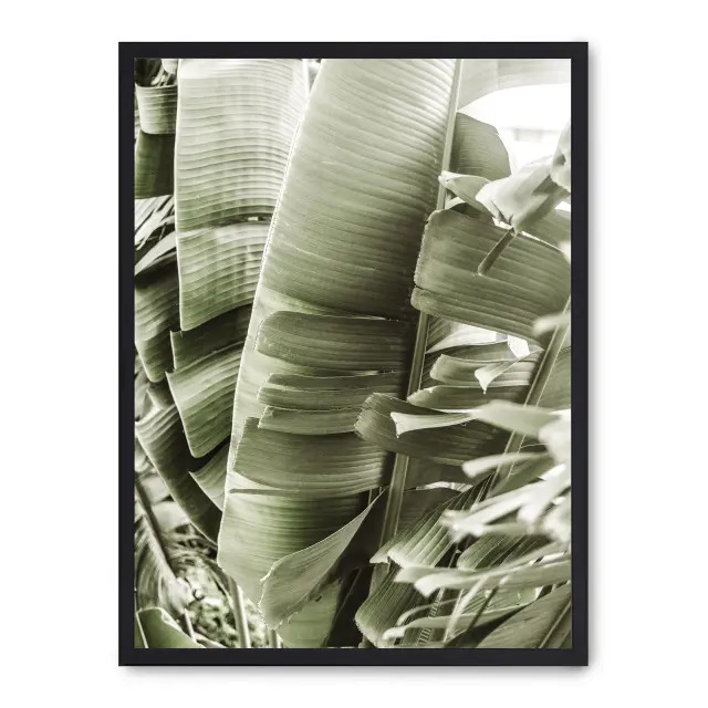 Lámina con marco negro DETAILS OF BANANA LEAVES I 21x30 cm, Póster impreso en papel de primera calidad de 180gr, montado sobre marco de madera MDF acabado en negro., Botánica - Naturaleza - Playantas