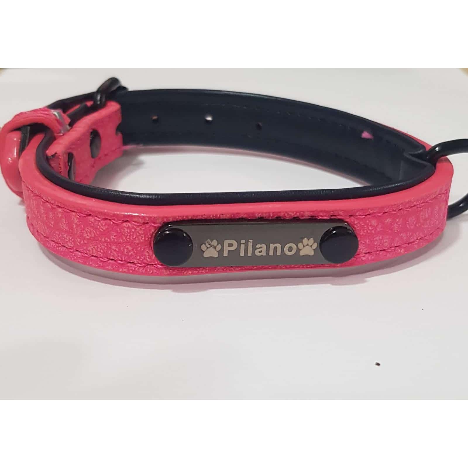 Collar Pilano de Cuero para Perro Talla S - Acolchado Suave - Hebilla de Metal Ajustable - Varios Tamaños