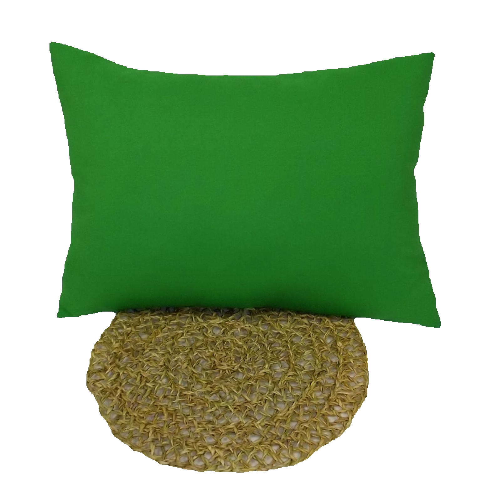 Cojín Liso Verde Vibrante 50x36 cm - Ruicor Textil - Decoración Moderna para Salón o Dormitorio_ Ruicor Textil