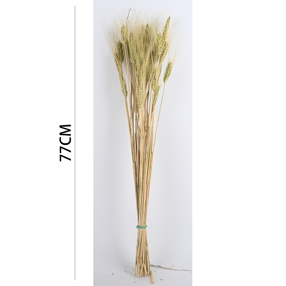 Poenia Arte Floral - Trigo Preservado 77cm - REF 7152 - Decoración del Hogar - DIY para Mesa - Boda