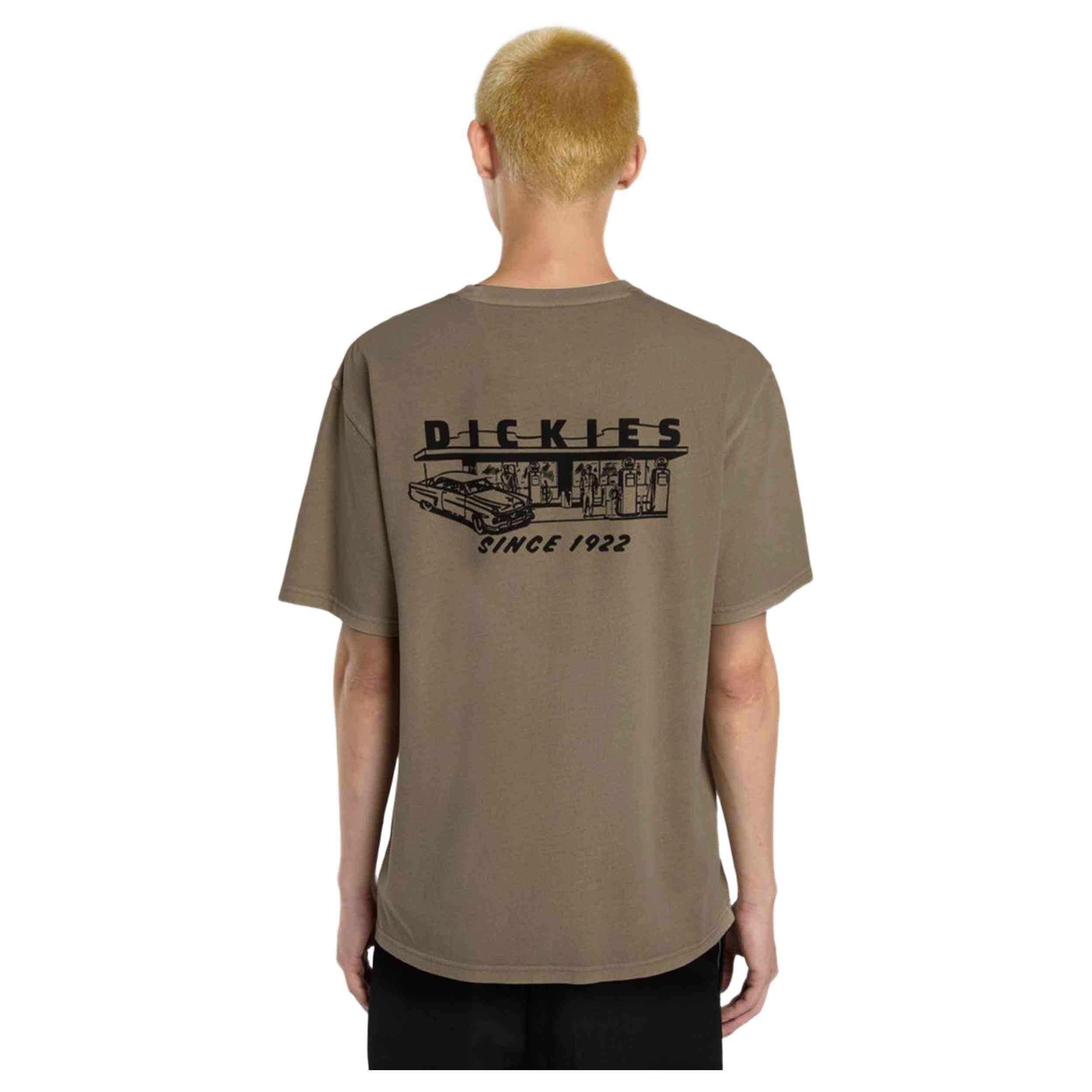 Camisetas marca Dickies modelo Dk0A4Z8X0Ds1 para hombre en color marrón