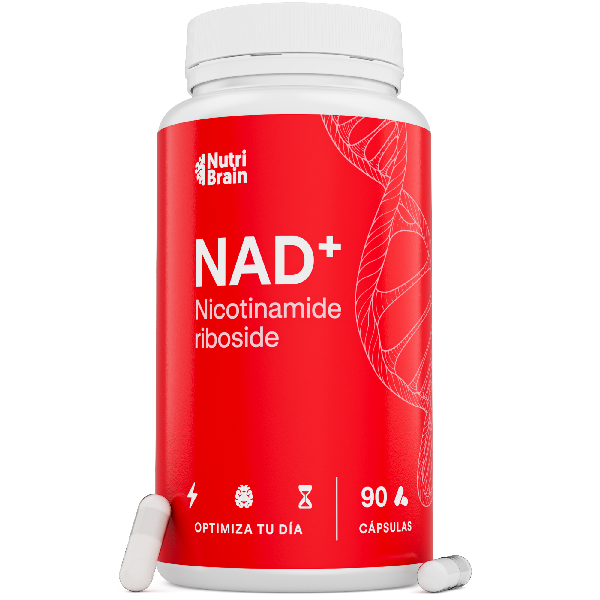 Nicotinamida Ribósido 300 mg (precursor de NAD⁺) | Vitamina B3 | Energía y menos cansancio | 90 cápsulas – 3 meses | No OGM | NutriBrain