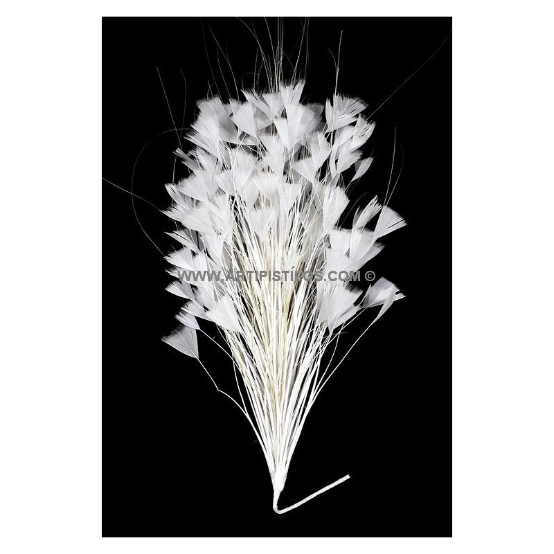 MONTAJE DE PLUMAS GALLO/AVESTRUZ 30 X 15 cm