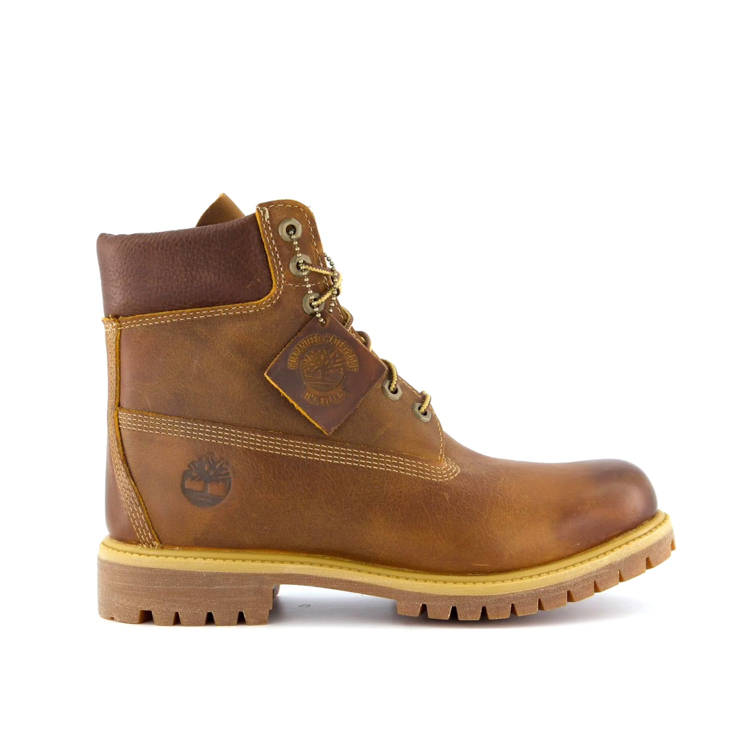 Timberland - Prem 6 en encaje marrón 127094/214