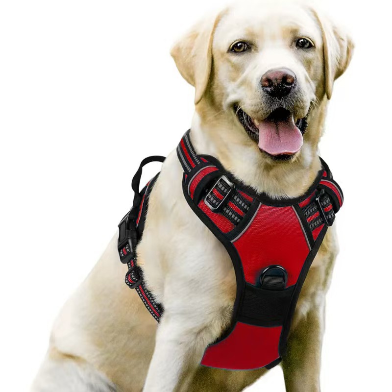 Pet dog chest and back leash, multi-layer integrated dog leash, chest harness, pet supplies