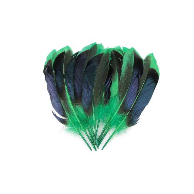 Plumas de pato 13-15 cm X 20 UNIDADES