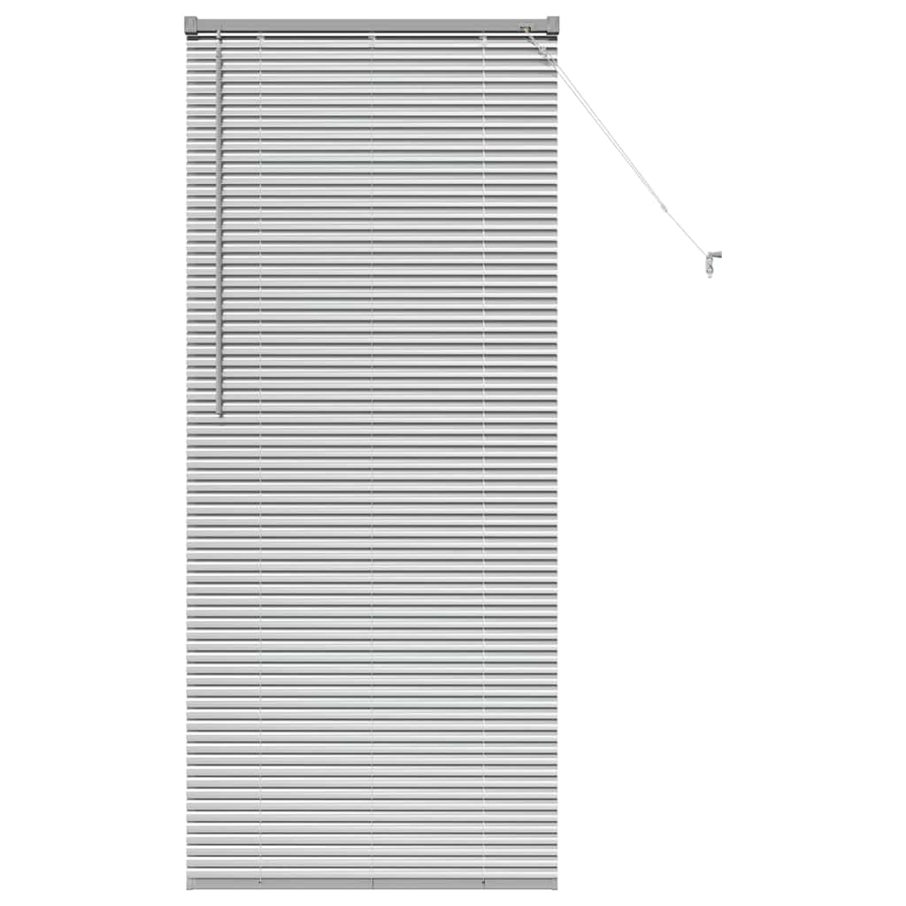 vidaXL Persianas venecianas Manual Plateado 175 x 70 cm Aluminio
