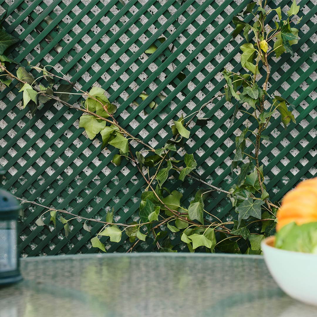 Nortene | Celosia Pvc 18 Mm. Verde Nortene | Decoración Para Terraza Y Jardín | Ideal Para Ambientes Elegantes | Diseño Decorativo