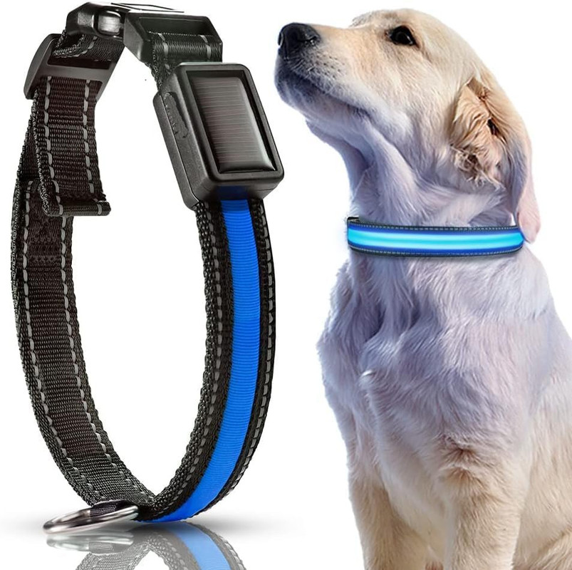 Collar de Perro with Luz LED solar y collar de Perro impermeable recargable por USB para Perros Pequeños, medianos y largos