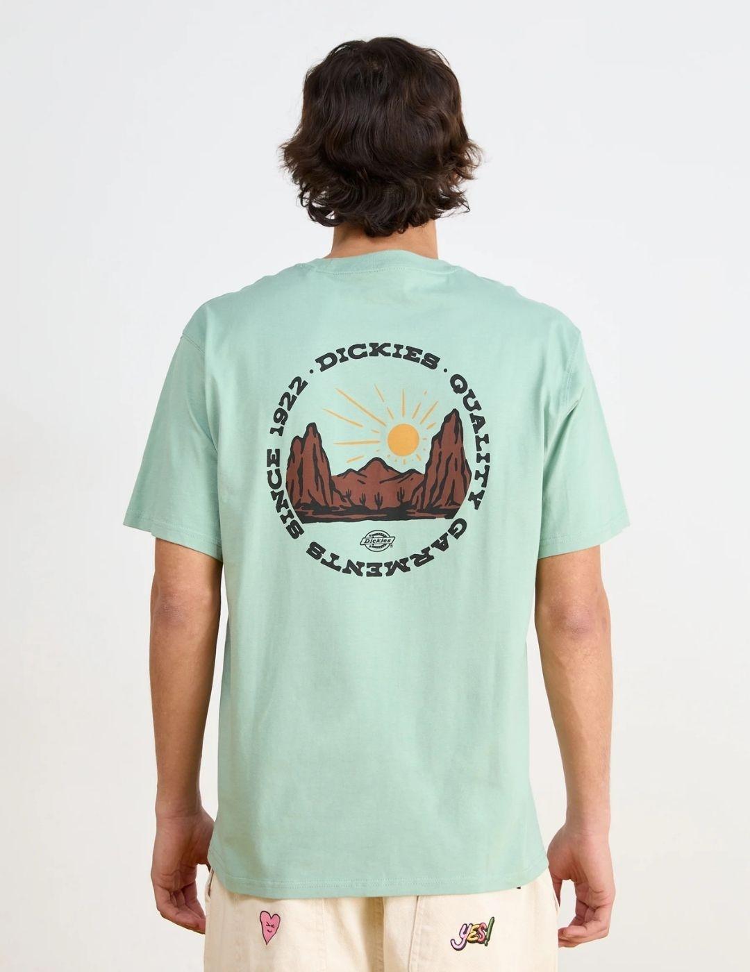Camiseta Dickies Outdoor SS Tee Verde hombre