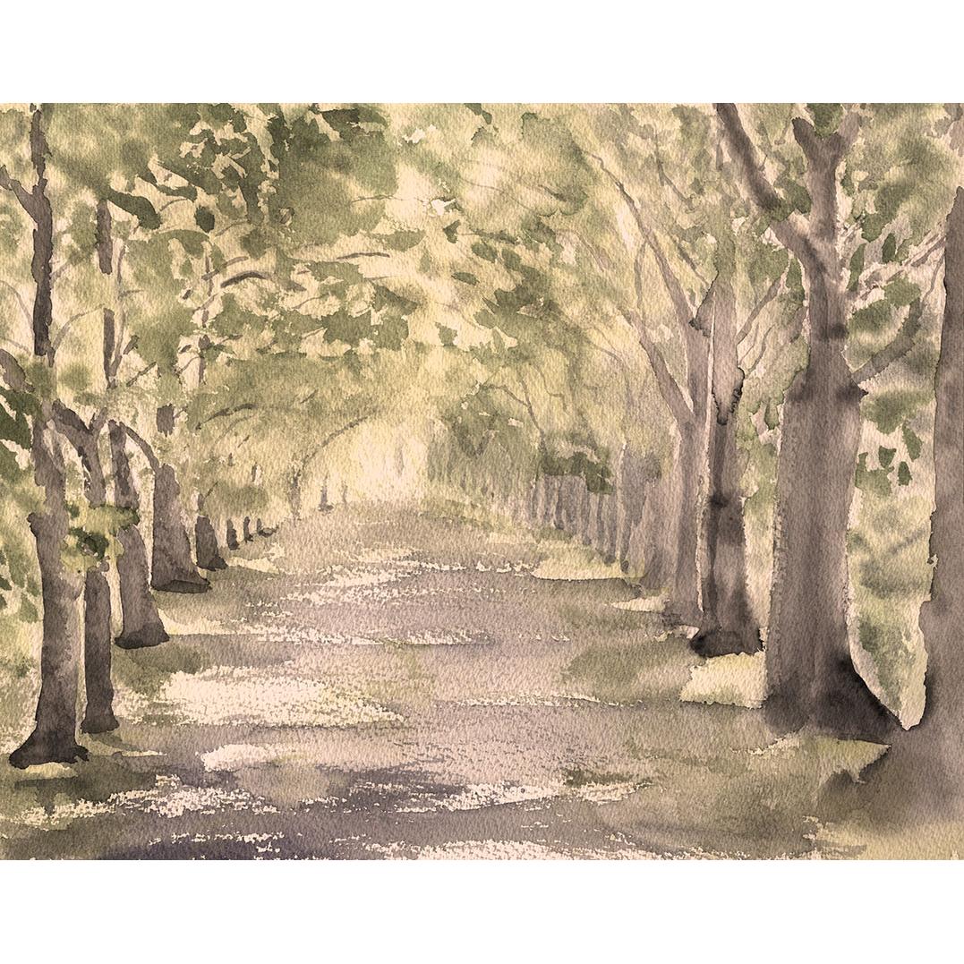 Cuadro decoración pared LIENZO SIN ENMARCAR paisaje horizontal grande "CAMINO DE VERANO" Acuarela Lienzo Alta Calidad Arboles Bosque Luz Naturaleza Arte Contemporáneo Verde Sepia Grises dorado Neutro rojizo Salón Pasillo Comedor Ref ANA DURAN A 086 A
