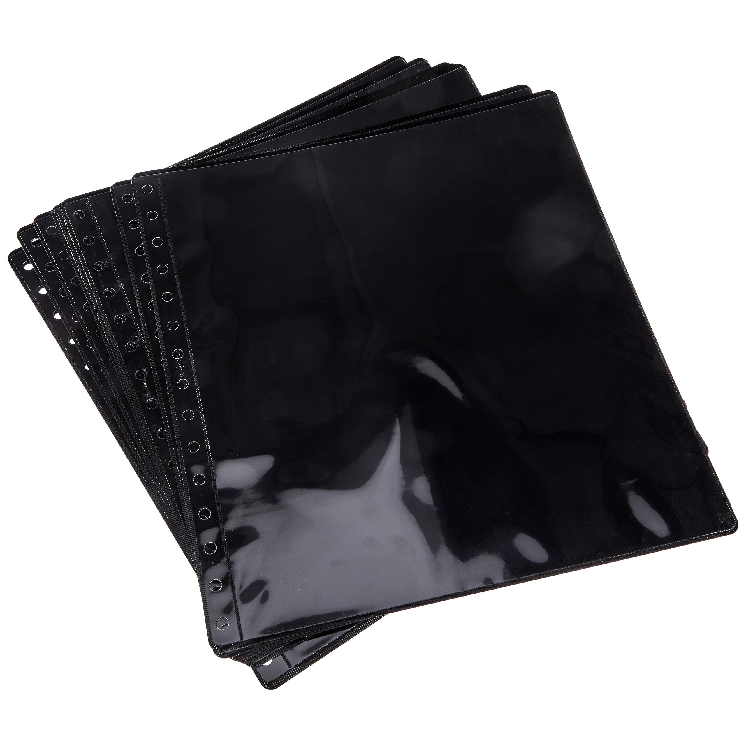 Pardo 100100 - Pack de 10 fundas transparente, 2 Alojamientos por hoja