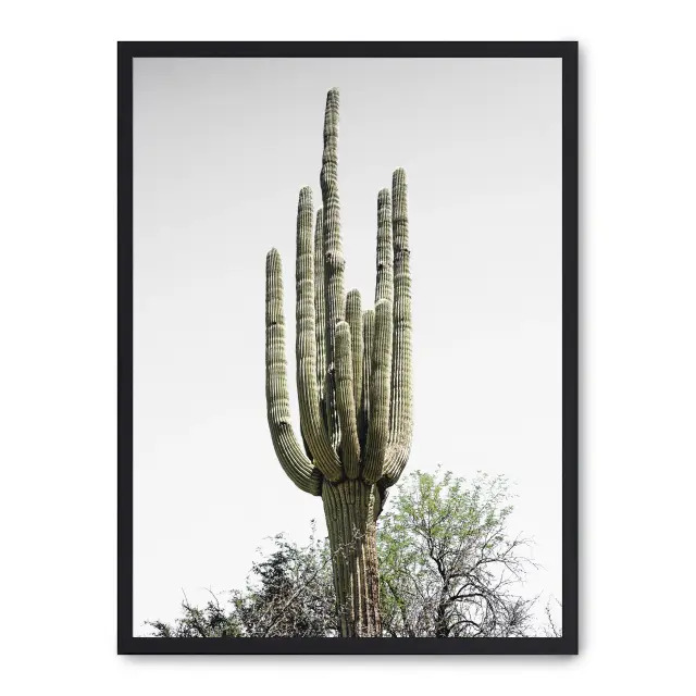 Lámina con marco negro CACTUS SAGUARO I 21x30 cm, Póster impreso en papel de primera calidad de 180gr, montado sobre marco de madera MDF acabado en negro., Naturaleza - Desierto
