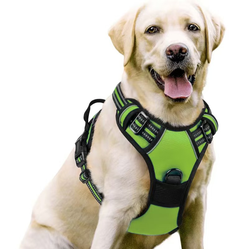 Pet dog chest and back leash, multi-layer integrated dog leash, chest harness, pet supplies