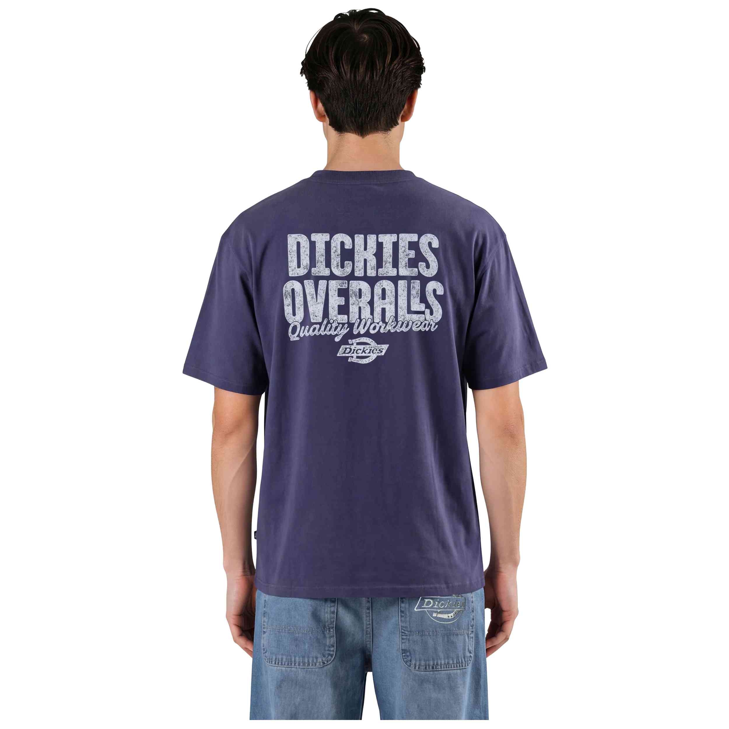 Camiseta Dickies modelo Chinle Ss Tee en color Azul