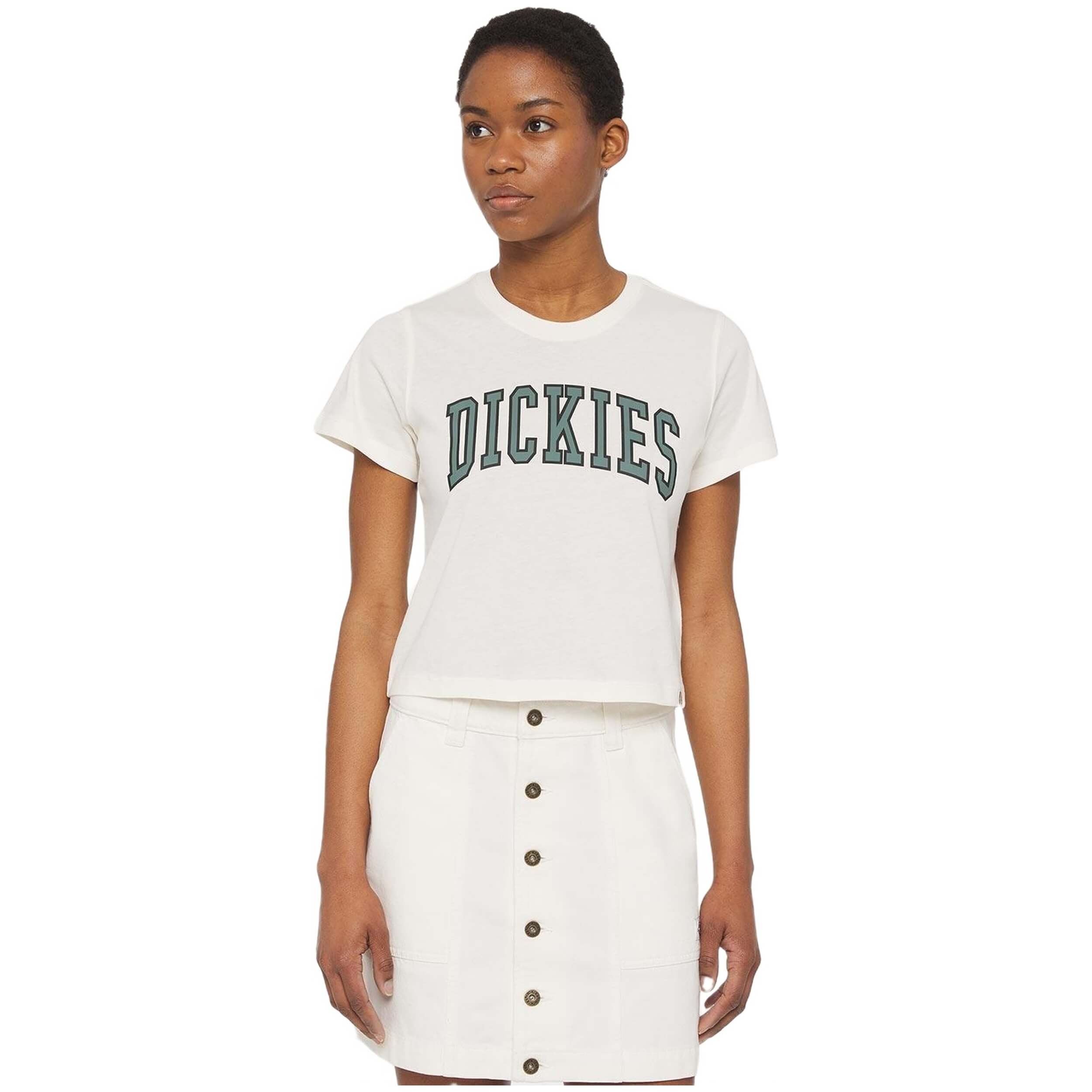 Camiseta Dickies Aitkin Tee