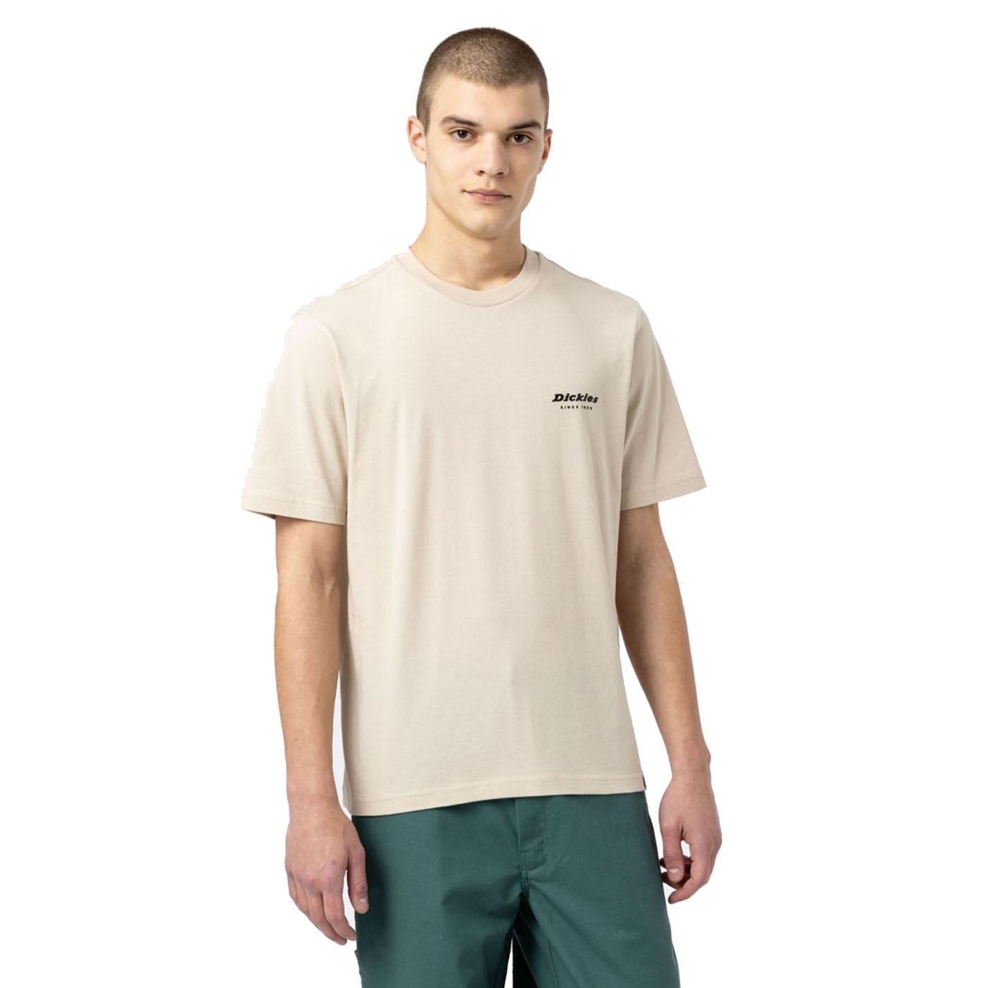 Camiseta Hombre Dickies Artondale Box Beige