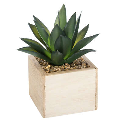 Factory cuadros Planta chic con maceta madera 14cm altura