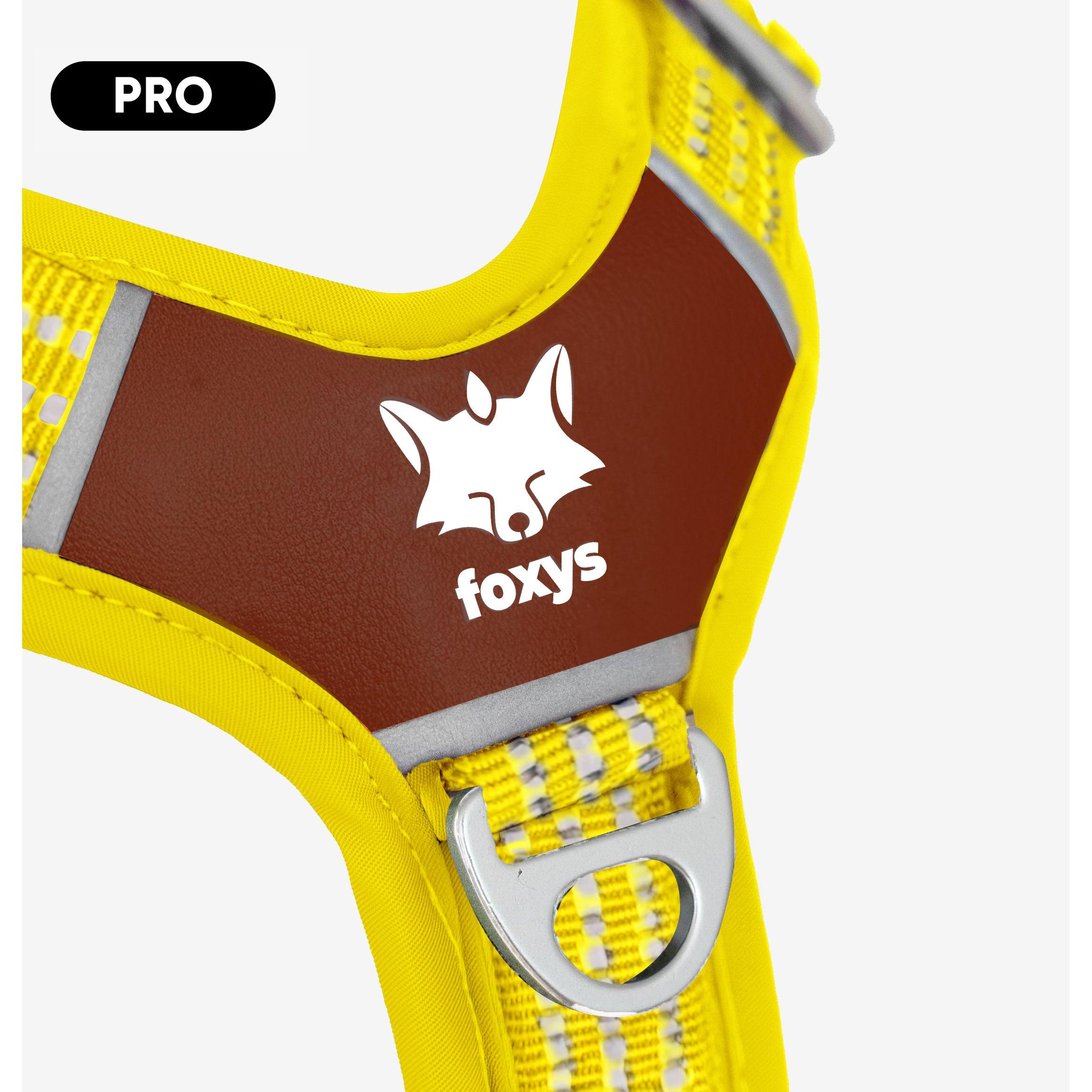 CountryFox™ PRO Arnés para Perros de Todas las Razas, Diseño Ergonómico que Distribuye la Presión Uniformemente, con Anilla Frontal Antitirones y Posterior, Acolchado Suave y Fácil de Poner, Amarillo Mantequilla