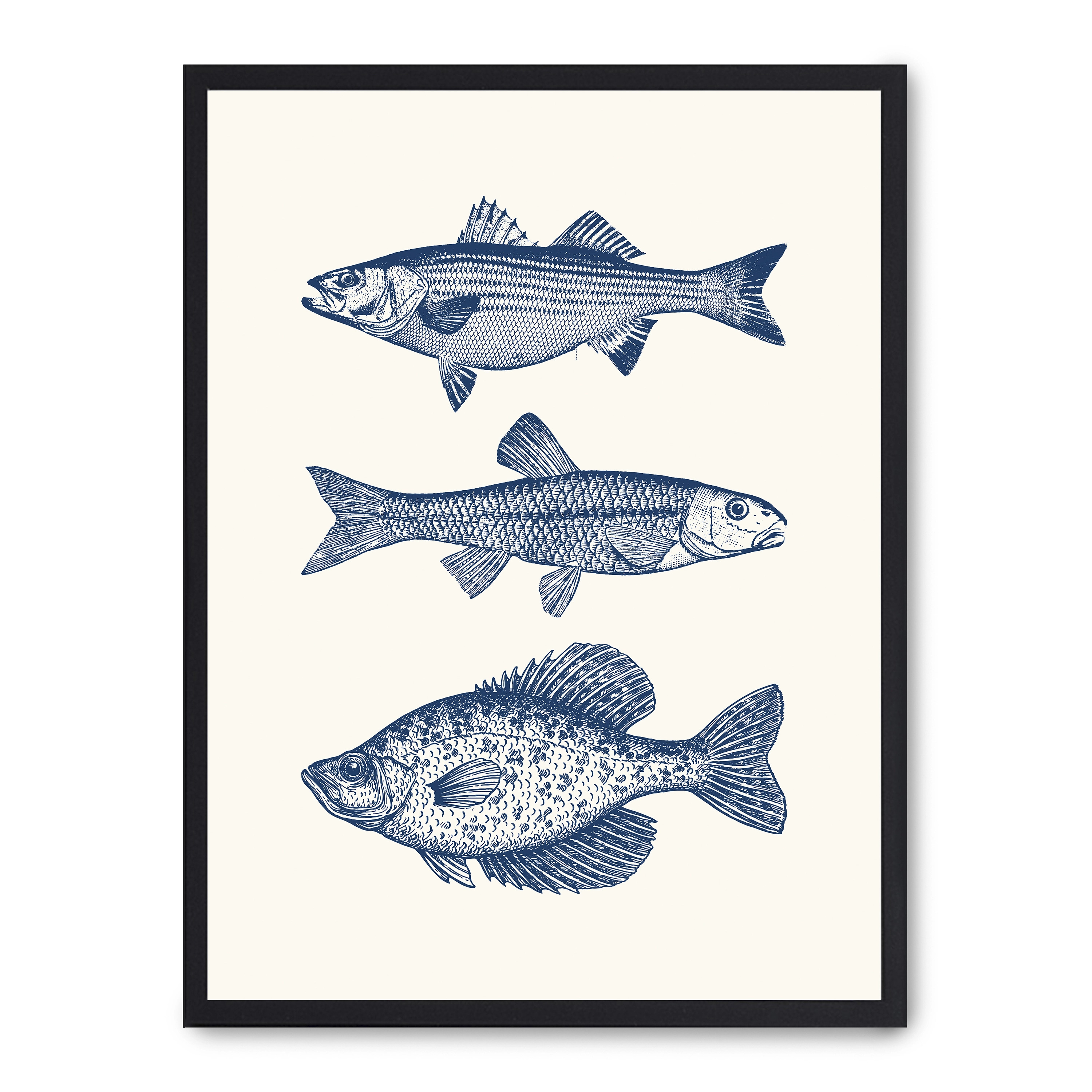 Lámina con marco negro VINTAGE FISH 21x30 cm, Póster impreso en papel de primera calidad de 180gr, montado sobre marco de madera MDF acabado en negro., Cocina - Gastronomía