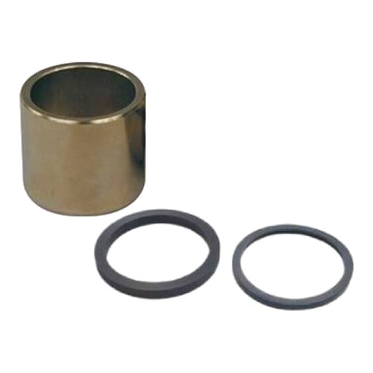 Kit De Reparación De Pistones Para Pinza De Freno Trasera 1138670