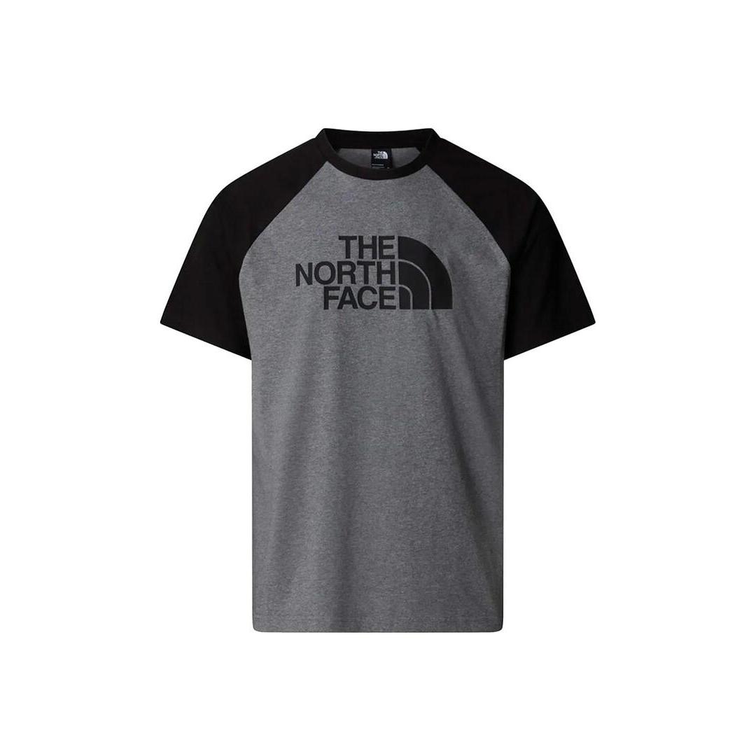 Camiseta Hombre The North Face Raglan Gris Negra