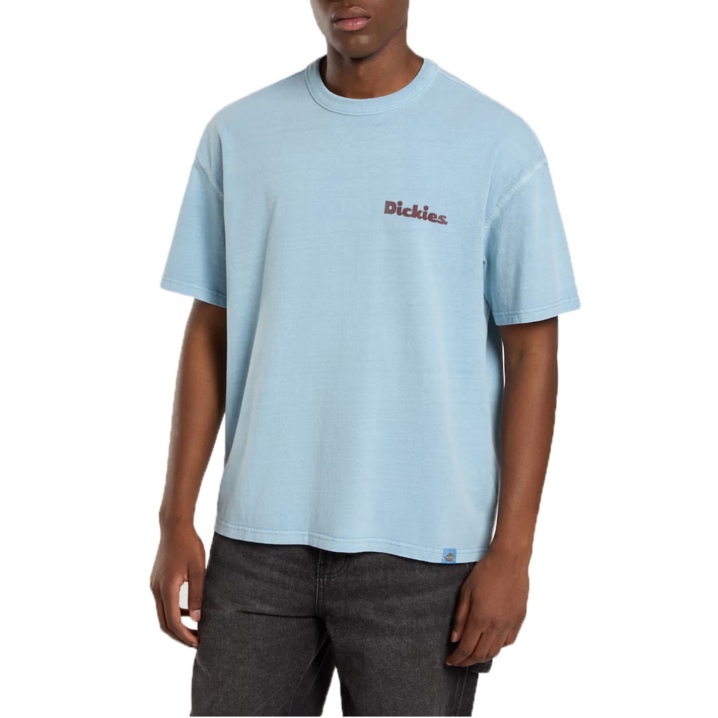 Camisetas Hombre Marca Dickies Modelo Slayden Gd