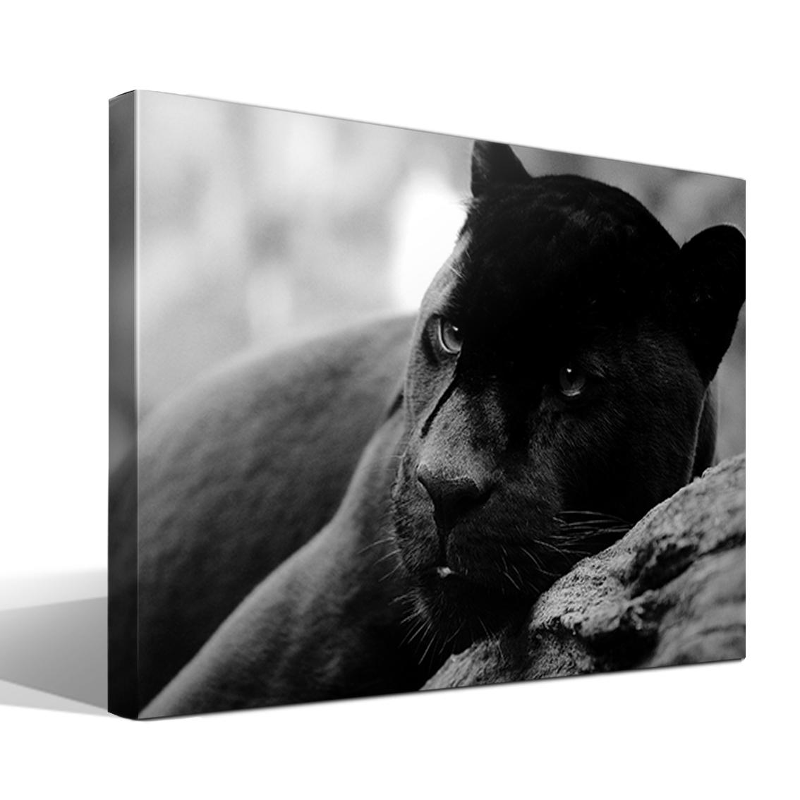Cuadro Canvas Pantera Negra - Alta Resolución - Lienzo 100% Algodón - Bastidor Madera - HQ